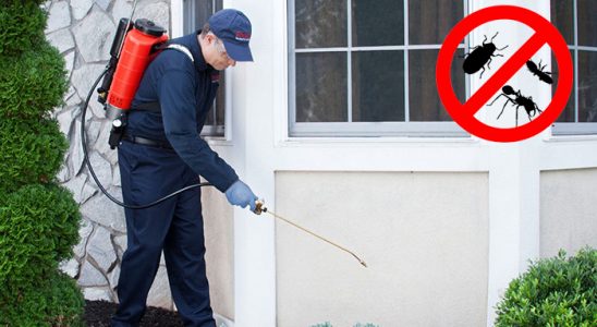 Sivaslı Karınca İlaçlama böcek ilaçlama ve haşere kontrolü — ilaclama-tr.com